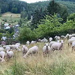 Nyaraló Haus Marta *