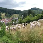 Haus Marta Elmstein