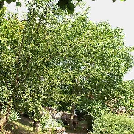 Haus Marta Nyaraló *