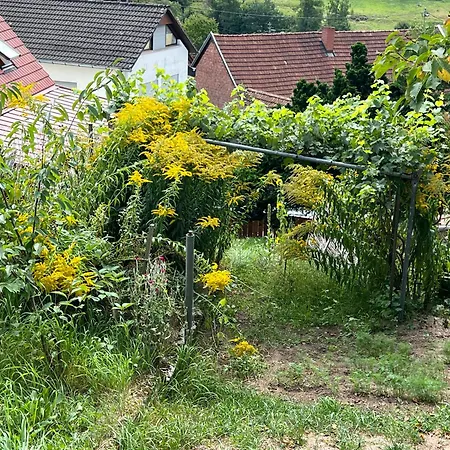 Haus Marta Nyaraló *