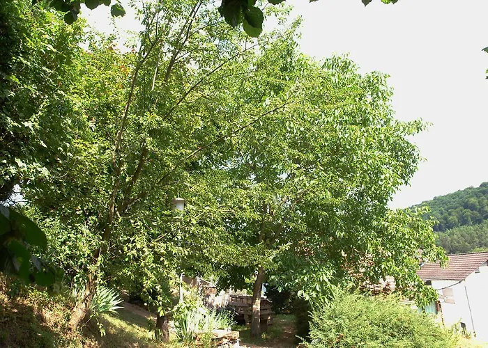 Haus Marta Nyaraló *