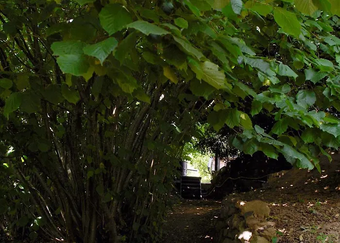 Nyaraló Haus Marta Elmstein