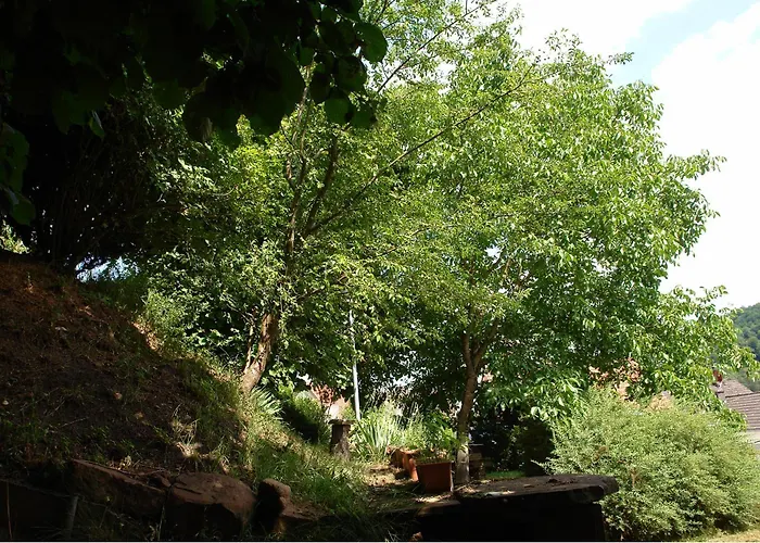 Haus Marta * Elmstein