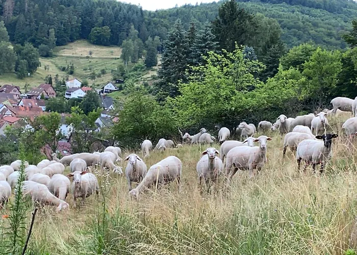 Nyaraló Haus Marta *