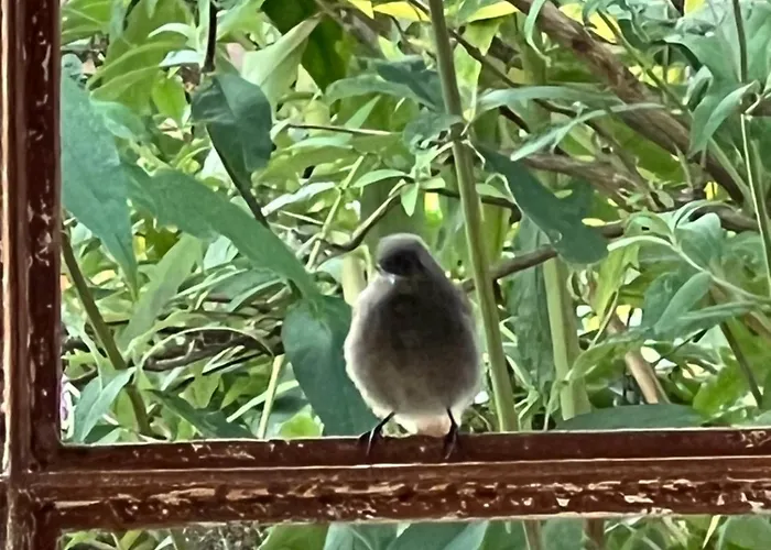 Nyaraló Haus Marta *