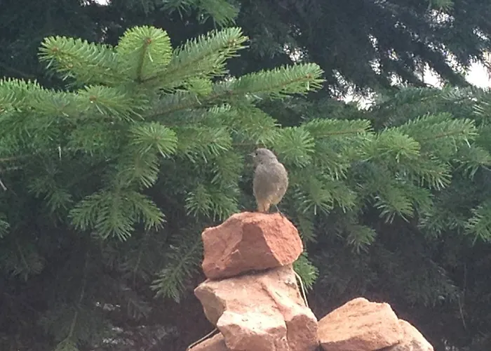 Haus Marta Nyaraló *