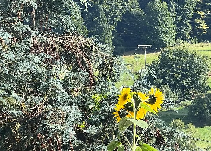 Haus Marta * Elmstein